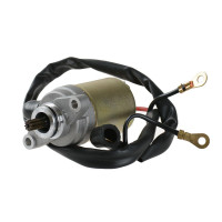 ScooterLibre Anlasser 9 Zähne 248644 ScooterLibre Anlasser 9 Zähne 248644