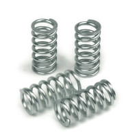 TRW Kupplungsfedern MEF317-5 TRW Kupplungsfedern MEF317-5