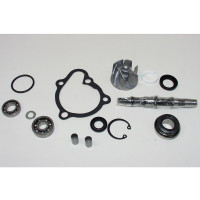 DR / Motorparts Wasserpumpenreparatursatz AA00816 DR / Motorparts Wasserpumpenreparatursatz AA00816