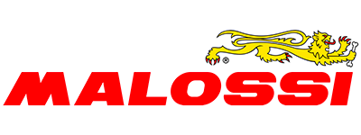 Malossi