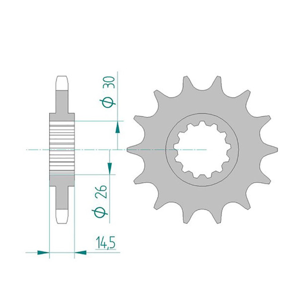 Ritzel 20607-14 #525 14 Zähne