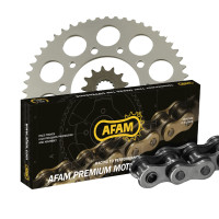 KMP360 Kettenkit passt für Royal Enfield Interceptor 650 EFI Twin ABS 22-25 AFAM 525 XMR3 KMP360 Kettenkit passt für Royal Enfield Interceptor 650 EFI Twin ABS 22-25 AFAM 525 XMR3