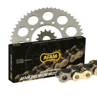 KMP360 Kettenkit passt für Royal Enfield Interceptor 650 EFI Twin ABS 22-25 AFAM 525 XSR2G KMP360 Kettenkit passt für Royal Enfield Interceptor 650 EFI Twin ABS 22-25 AFAM 525 XSR2G