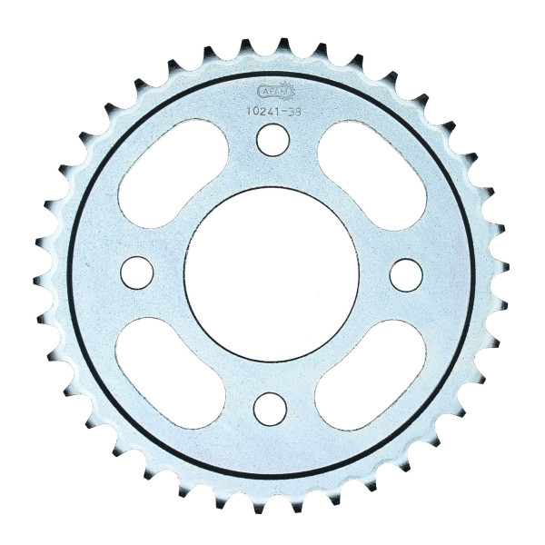 Kettenrad 10241-38 STAHL #420