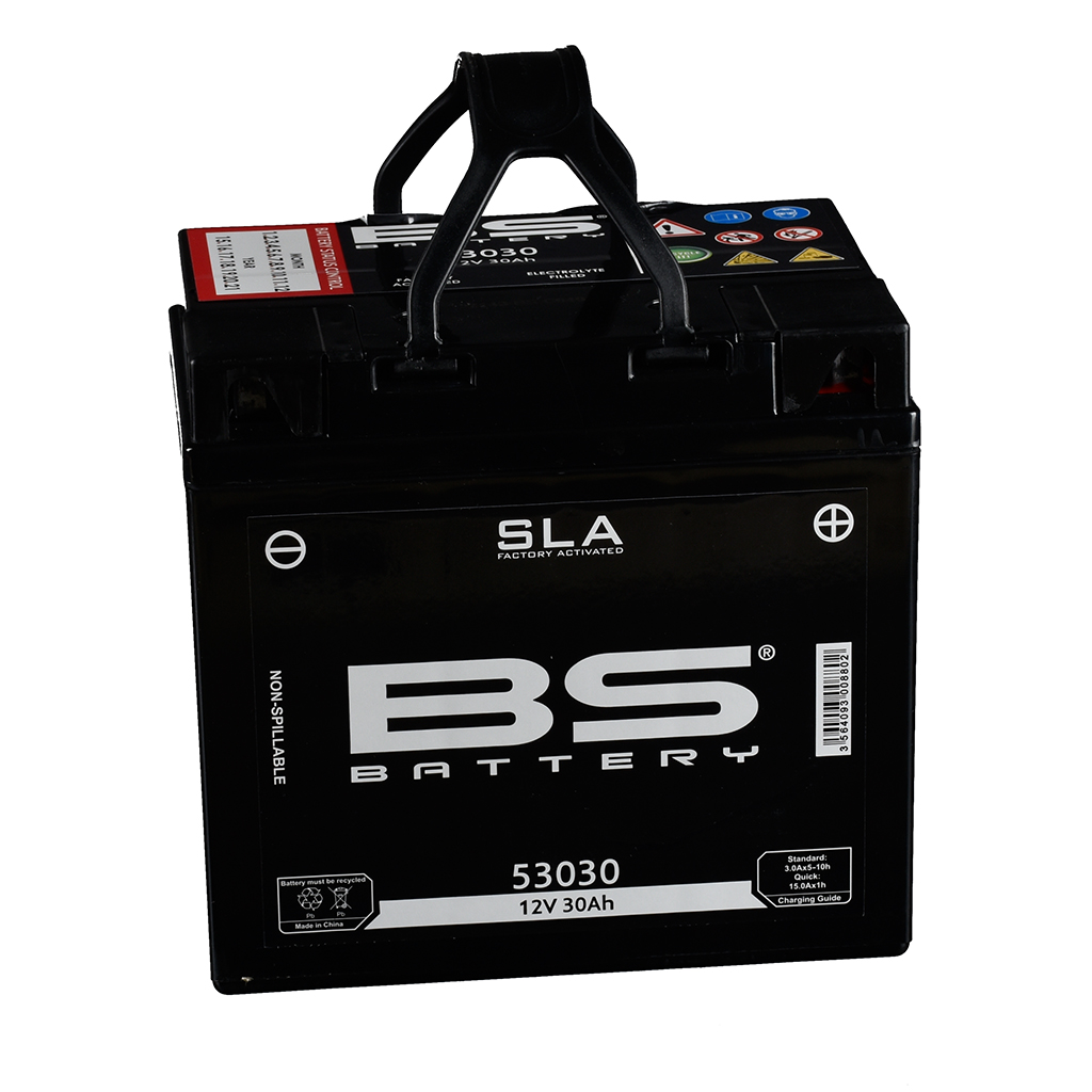BS Batterie 12V 30AH 53030 Gel -Battery (für: MV Agusta F4 750 SPR )