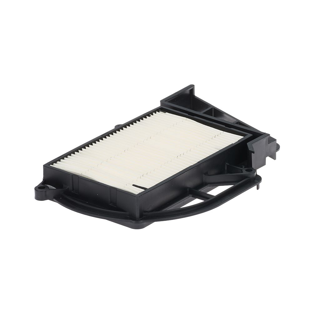 Champion Luftfilter f. Variomatik (für: MBK Skyliner 250 )